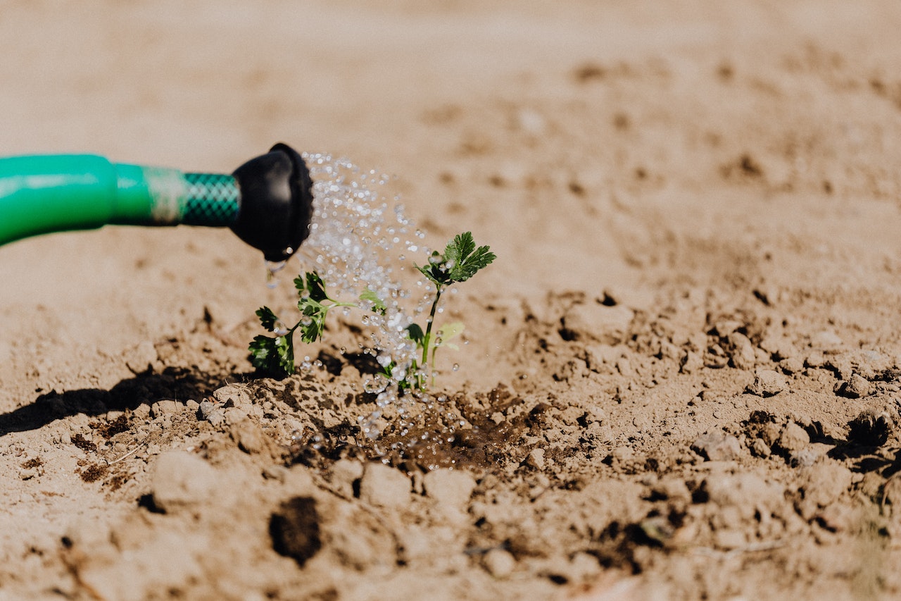 Unlocking Adoption of Drought Index Insurance and Supplemental Irrigation