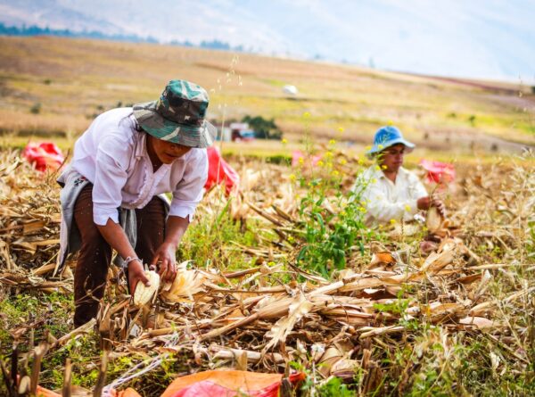 Improving Productivity of Women Smallholders Through Capacity Building
