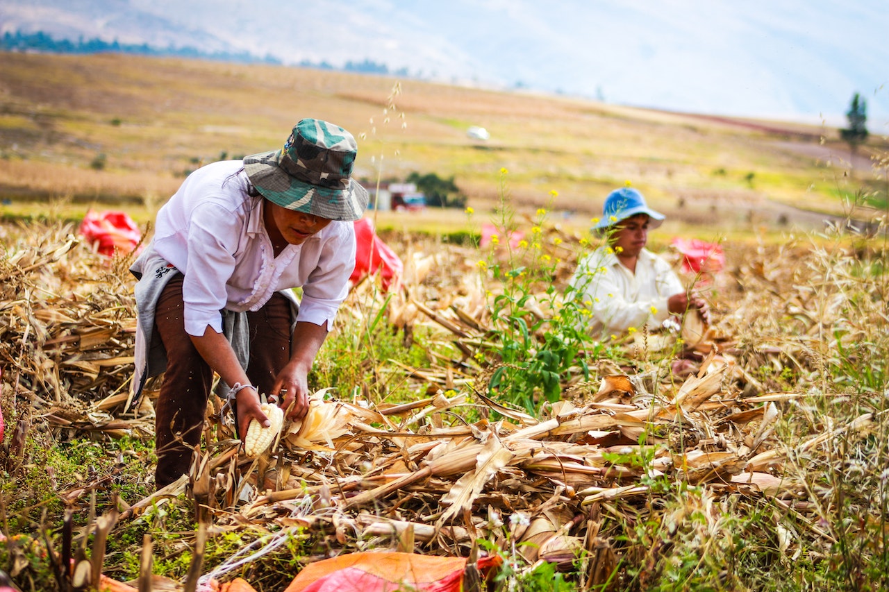 Improving Productivity of Women Smallholders Through Capacity Building